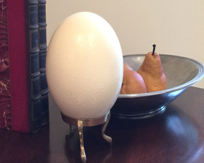 Natural Ostrich Egg